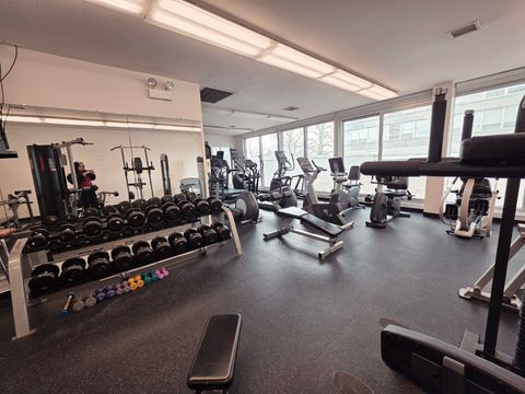 Tiny photo for 4800 S Chicago Beach Drive #810S, Chicago, IL 60615 (MLS # 12577602)