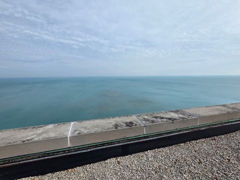 Tiny photo for 4800 S Chicago Beach Drive #810S, Chicago, IL 60615 (MLS # 12577602)