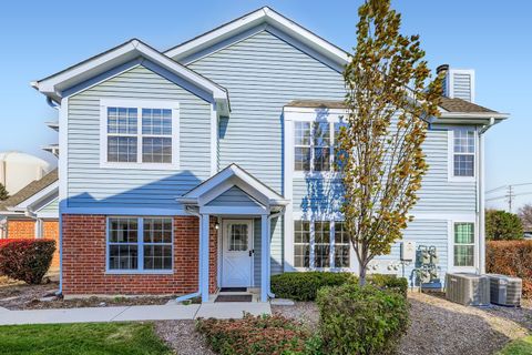 209 Westminster Court C Schaumburg IL 60193