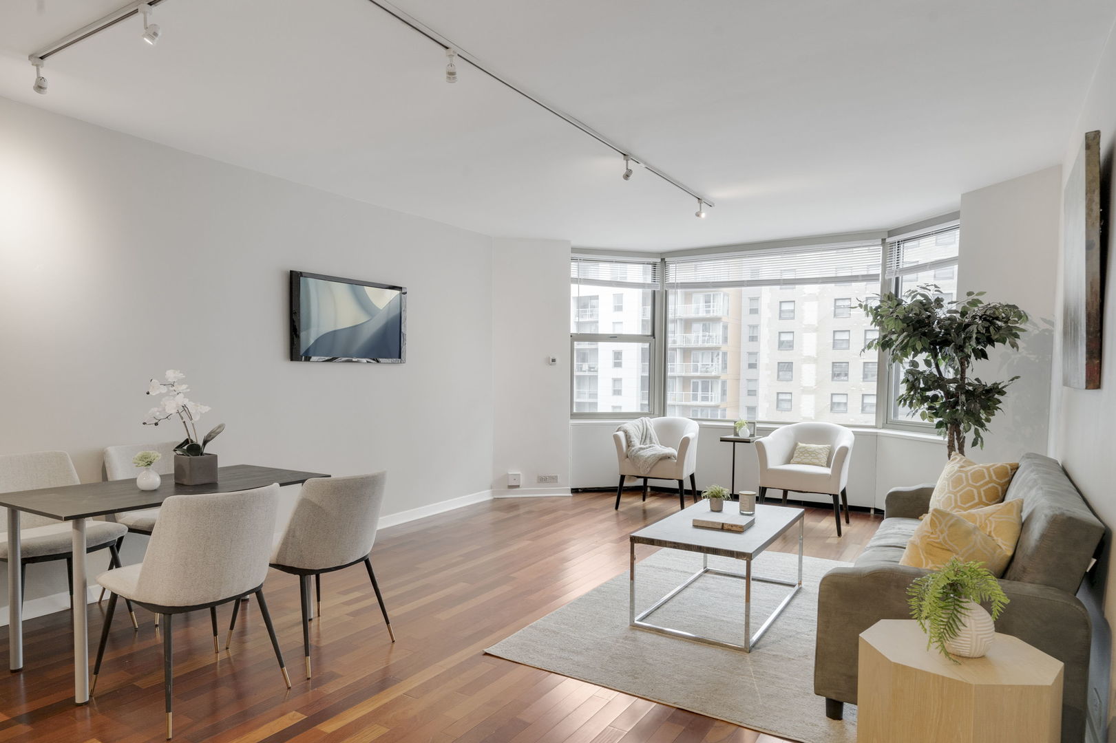 535 N Michigan Avenue 2205