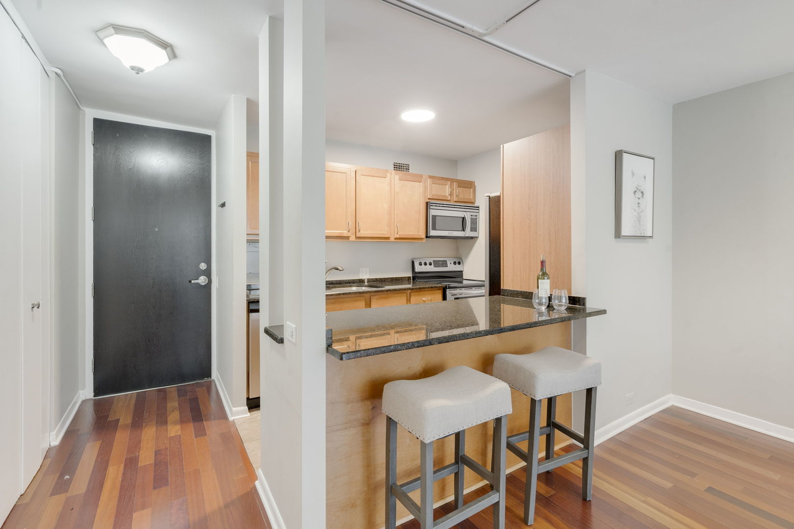 535 N Michigan Avenue 2205