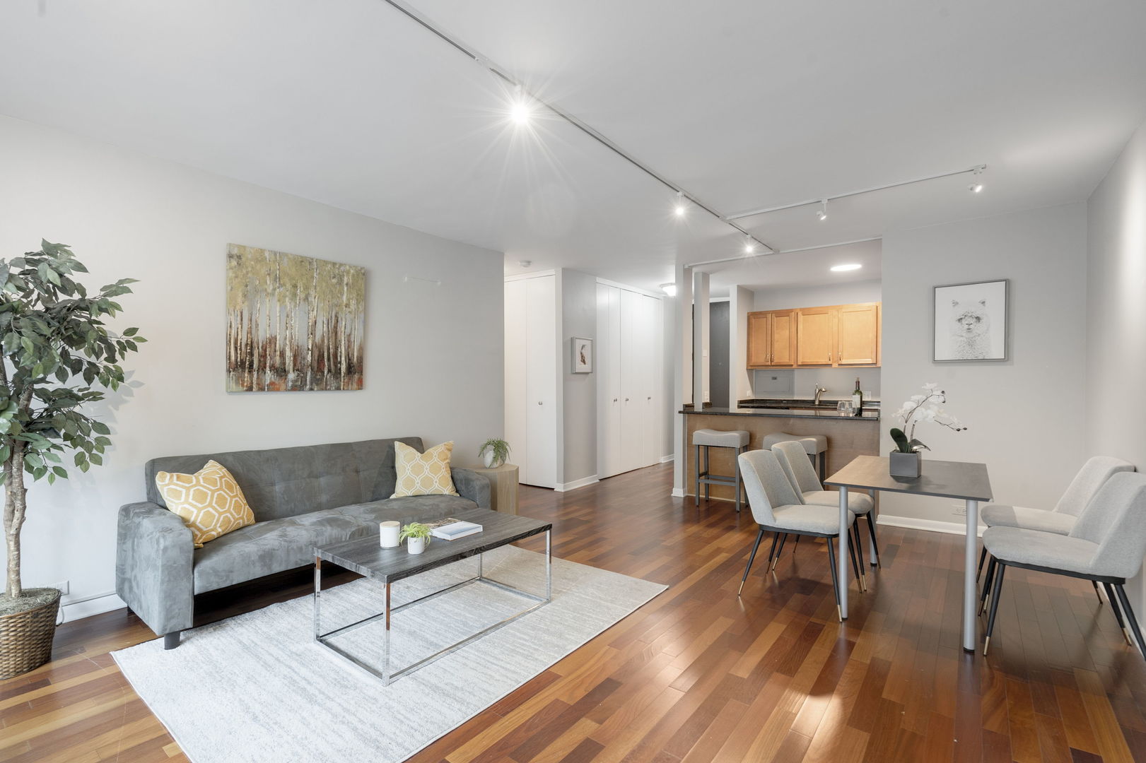 535 N Michigan Avenue 2205