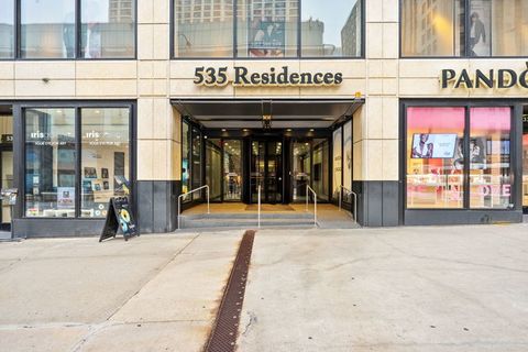 535 N Michigan Avenue 2205 Chicago IL 60611