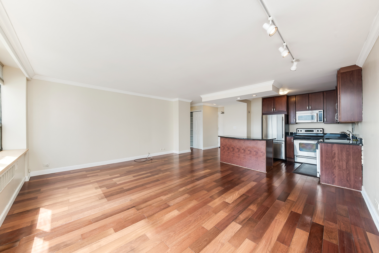 1360 N Sandburg Terrace 2103