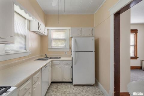 Tiny photo for 1030 23RD Street, Rock Island, IL 61201 (MLS # QC4267850)