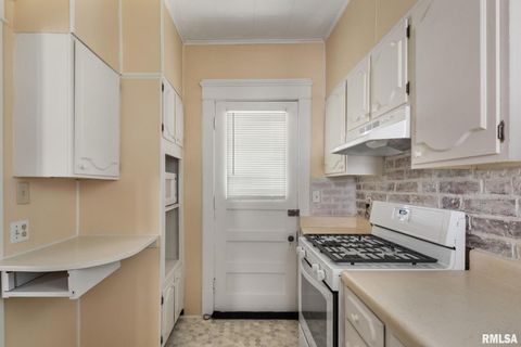 Tiny photo for 1030 23RD Street, Rock Island, IL 61201 (MLS # QC4267850)