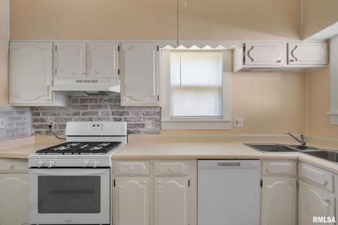 Tiny photo for 1030 23RD Street, Rock Island, IL 61201 (MLS # QC4267850)