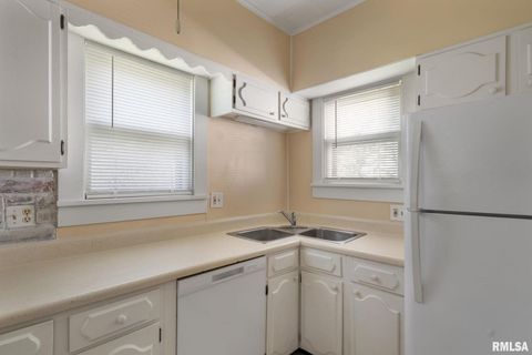 Tiny photo for 1030 23RD Street, Rock Island, IL 61201 (MLS # QC4267850)