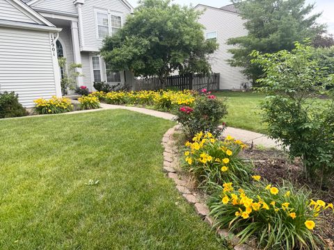 Tiny photo for 12901 Norwich Street, Plainfield, IL 60585 (MLS # 12579097)