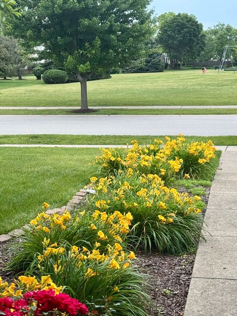 Tiny photo for 12901 Norwich Street, Plainfield, IL 60585 (MLS # 12579097)