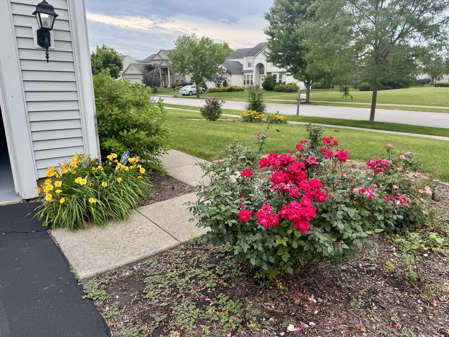 12901 Norwich Street