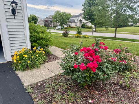 Tiny photo for 12901 Norwich Street, Plainfield, IL 60585 (MLS # 12579097)