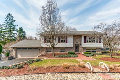 24731 W Orchard Place Round Lake Heights IL 60073