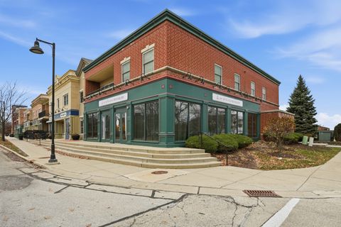 1 Old Frankfort Way 1-5 Frankfort IL 60423