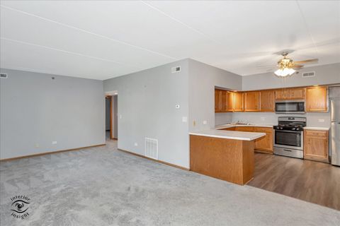 Tiny photo for 2891 Heritage Drive #1A, Joliet, IL 60435 (MLS # 12488508)