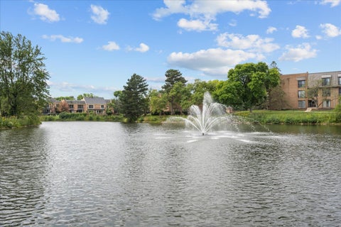 Tiny photo for 12 The Court Of Lagoon View VW, Northbrook, IL 60062 (MLS # 12756627)