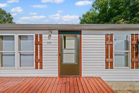 Tiny photo for 101 Railroad Street, Sidell, IL 61876 (MLS # 12475027)