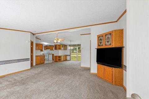 Tiny photo for 101 Railroad Street, Sidell, IL 61876 (MLS # 12475027)