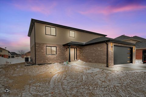 Photo of 26165 County Fair Drive, Monee, IL 60449 (MLS # 12354808)