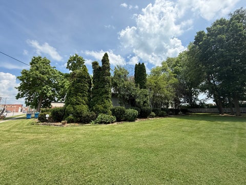 Tiny photo for 108 W Jones Street, Milford, IL 60953 (MLS # 12699613)