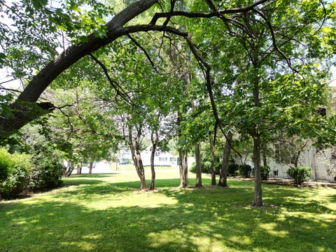 Tiny photo for 108 W Jones Street, Milford, IL 60953 (MLS # 12699613)