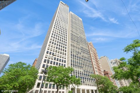 1110 N Lake Shore Drive 20S Chicago IL 60611
