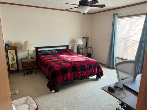 Tiny photo for 320 N Old Marion Road, Goreville, IL 62939 (MLS # 12558203)