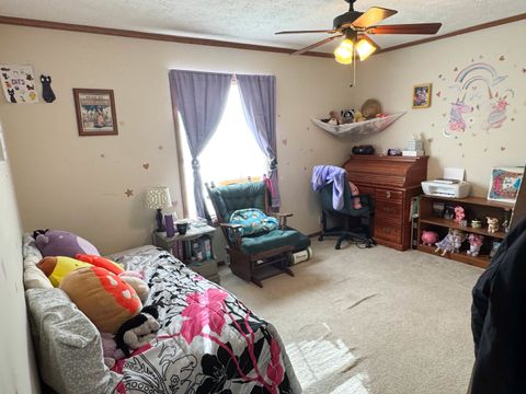 Tiny photo for 320 N Old Marion Road, Goreville, IL 62939 (MLS # 12558203)
