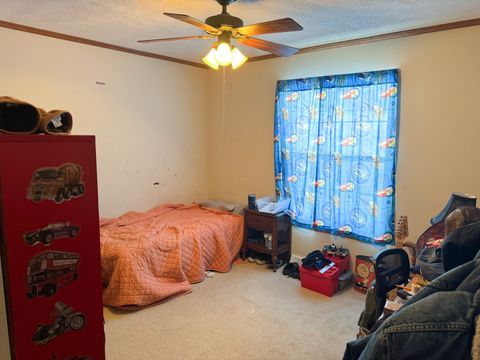 Tiny photo for 320 N Old Marion Road, Goreville, IL 62939 (MLS # 12558203)