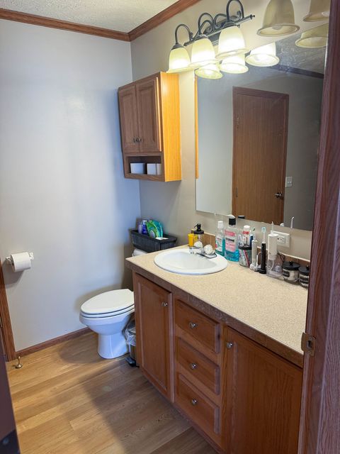 Tiny photo for 320 N Old Marion Road, Goreville, IL 62939 (MLS # 12558203)