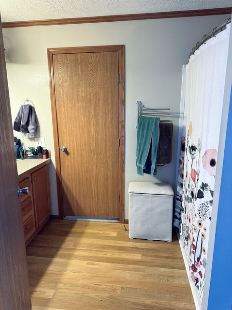 Tiny photo for 320 N Old Marion Road, Goreville, IL 62939 (MLS # 12558203)