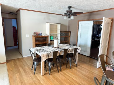 Tiny photo for 320 N Old Marion Road, Goreville, IL 62939 (MLS # 12558203)