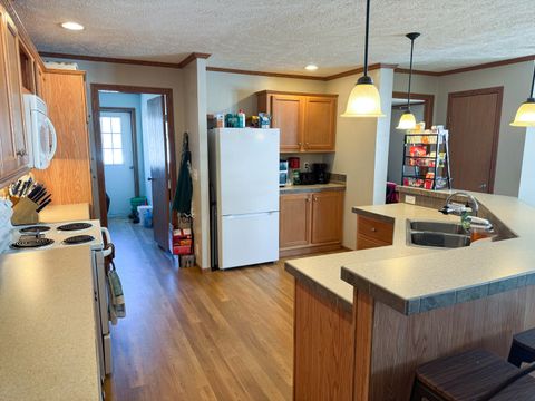 Tiny photo for 320 N Old Marion Road, Goreville, IL 62939 (MLS # 12558203)