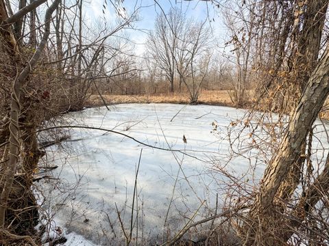 Tiny photo for 320 N Old Marion Road, Goreville, IL 62939 (MLS # 12558203)