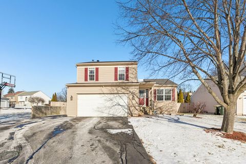 148 W Lindsay Drive Round Lake Beach IL 60073