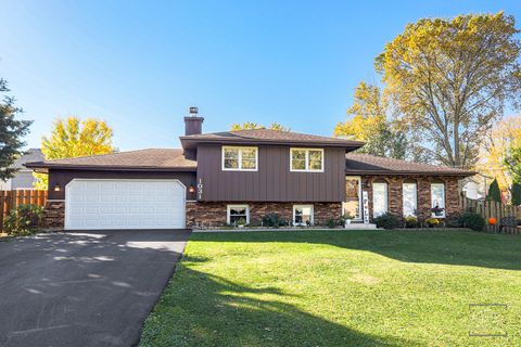 A home in Downers Grove