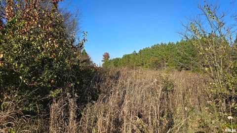 Tiny photo for 650 Old Route 146 Loop, Vienna, IL 62995 (MLS # EB459706)