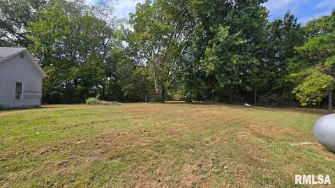 Tiny photo for 650 Old Route 146 Loop, Vienna, IL 62995 (MLS # EB459706)