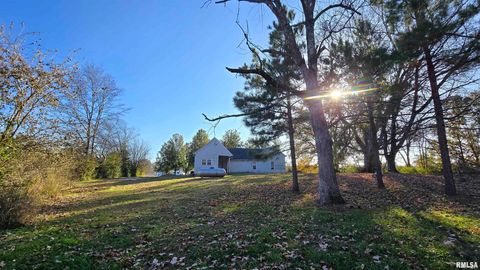 Tiny photo for 650 Old Route 146 Loop, Vienna, IL 62995 (MLS # EB459706)