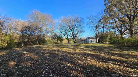 Tiny photo for 650 Old Route 146 Loop, Vienna, IL 62995 (MLS # EB459706)