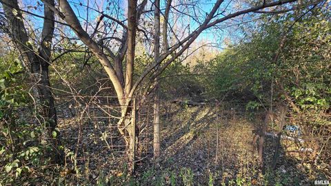 Tiny photo for 650 Old Route 146 Loop, Vienna, IL 62995 (MLS # EB459706)