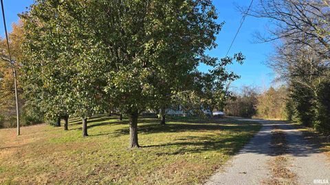Tiny photo for 650 Old Route 146 Loop, Vienna, IL 62995 (MLS # EB459706)