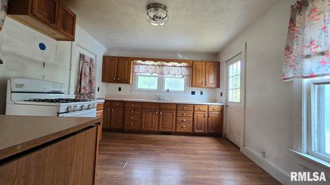 Tiny photo for 650 Old Route 146 Loop, Vienna, IL 62995 (MLS # EB459706)