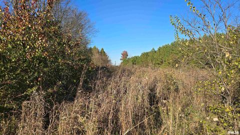 Tiny photo for 650 Old Route 146 Loop, Vienna, IL 62995 (MLS # EB459706)