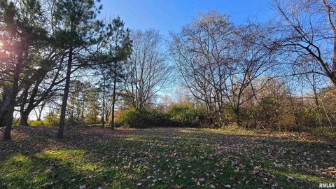 Tiny photo for 650 Old Route 146 Loop, Vienna, IL 62995 (MLS # EB459706)
