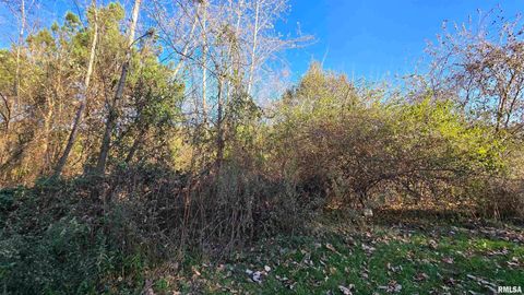 Tiny photo for 650 Old Route 146 Loop, Vienna, IL 62995 (MLS # EB459706)