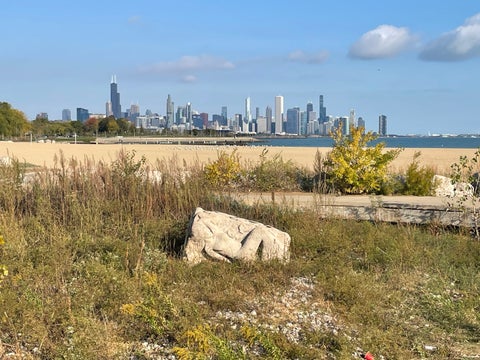 Tiny photo for 5000 S East End Avenue #15C, Chicago, IL 60615 (MLS # 12761034)