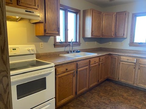 Tiny photo for 215 S Hennepin Avenue, Ladd, IL 61329 (MLS # 12597575)