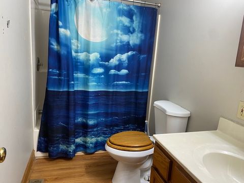 Tiny photo for 215 S Hennepin Avenue, Ladd, IL 61329 (MLS # 12597575)