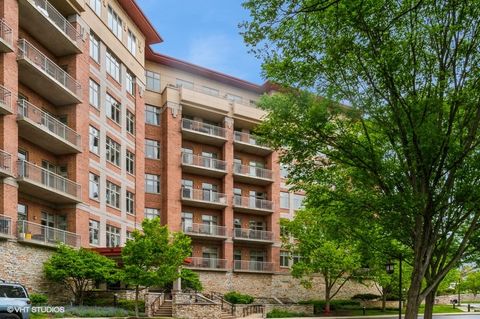 40 Prairie Park Drive 206 Wheeling IL 60090